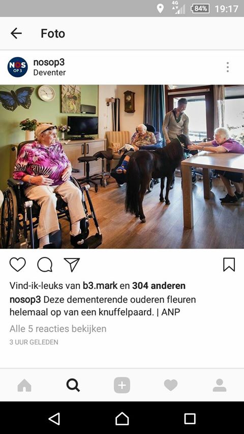 Therapiepaardje bij media