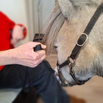 Therapiepaardje bij therapiepaardje op bezoek