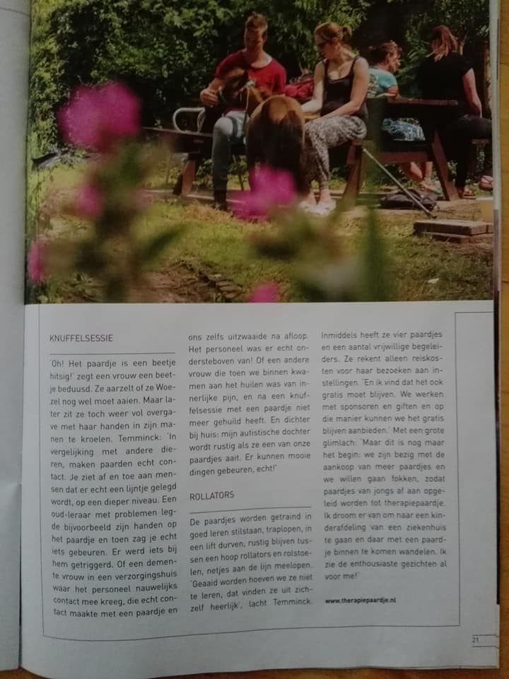 Therapiepaardje bij media