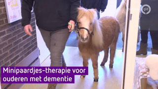 Therapiepaardje bij media