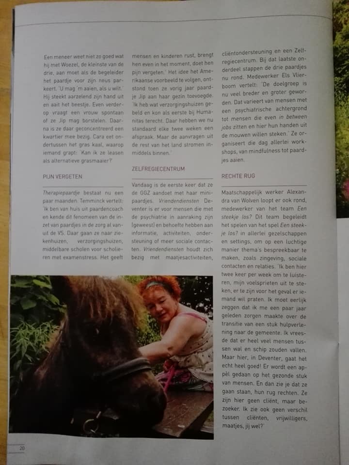 Therapiepaardje bij media