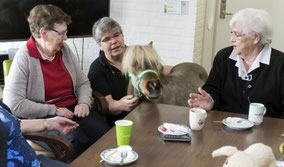 Therapiepaardje bij media