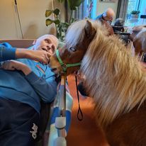 Therapiepaardje bij therapiepaardje op bezoek