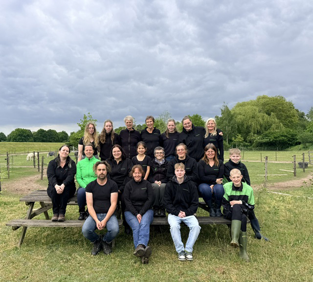 Therapiepaardje bij team