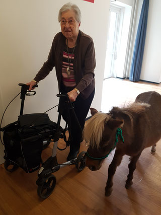 Therapiepaardje bij opleiding van een therapiepaardje