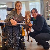Therapiepaardje bij therapiepaardje op bezoek