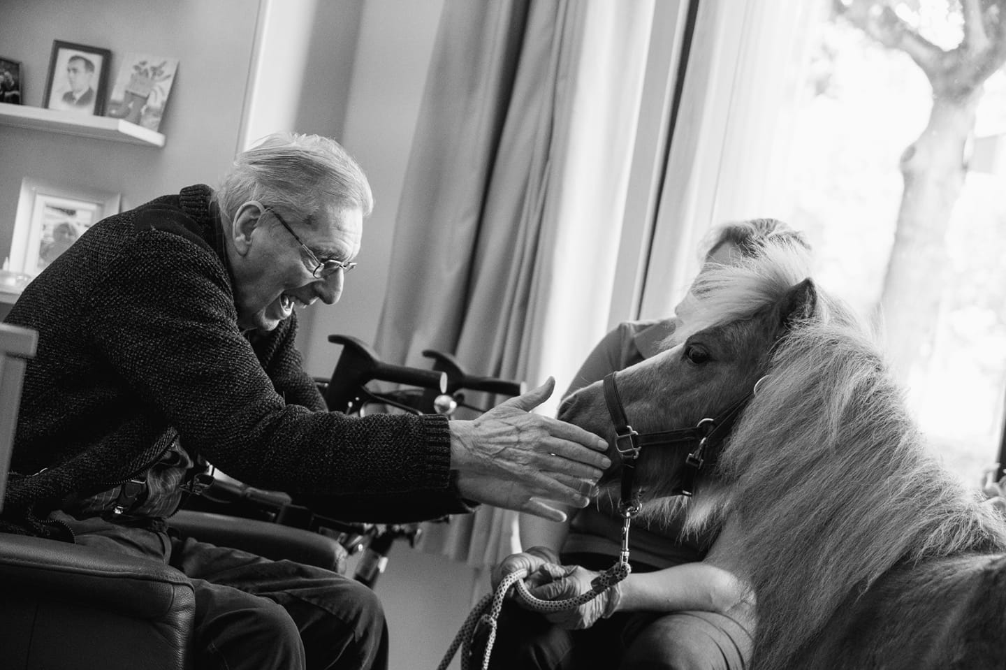 Therapiepaardje bij stichting therapiepaardje nederland