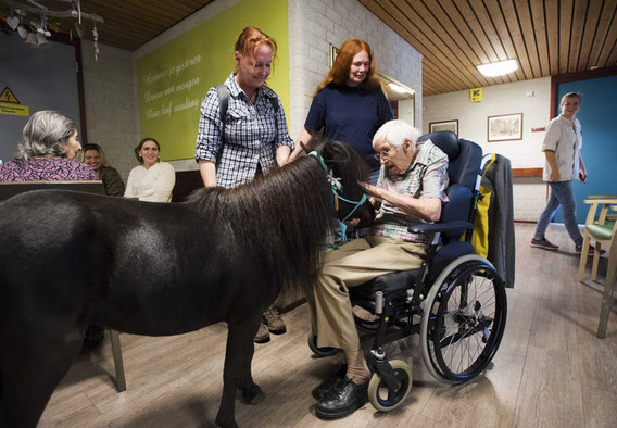 Therapiepaardje bij media
