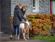 Therapiepaardje bij media